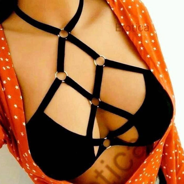 هارنس گردنی